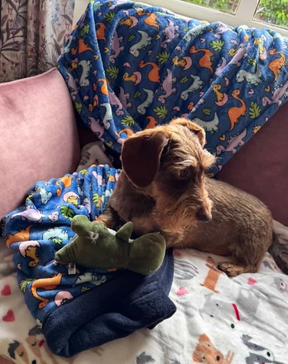 Dinoventures Blanket