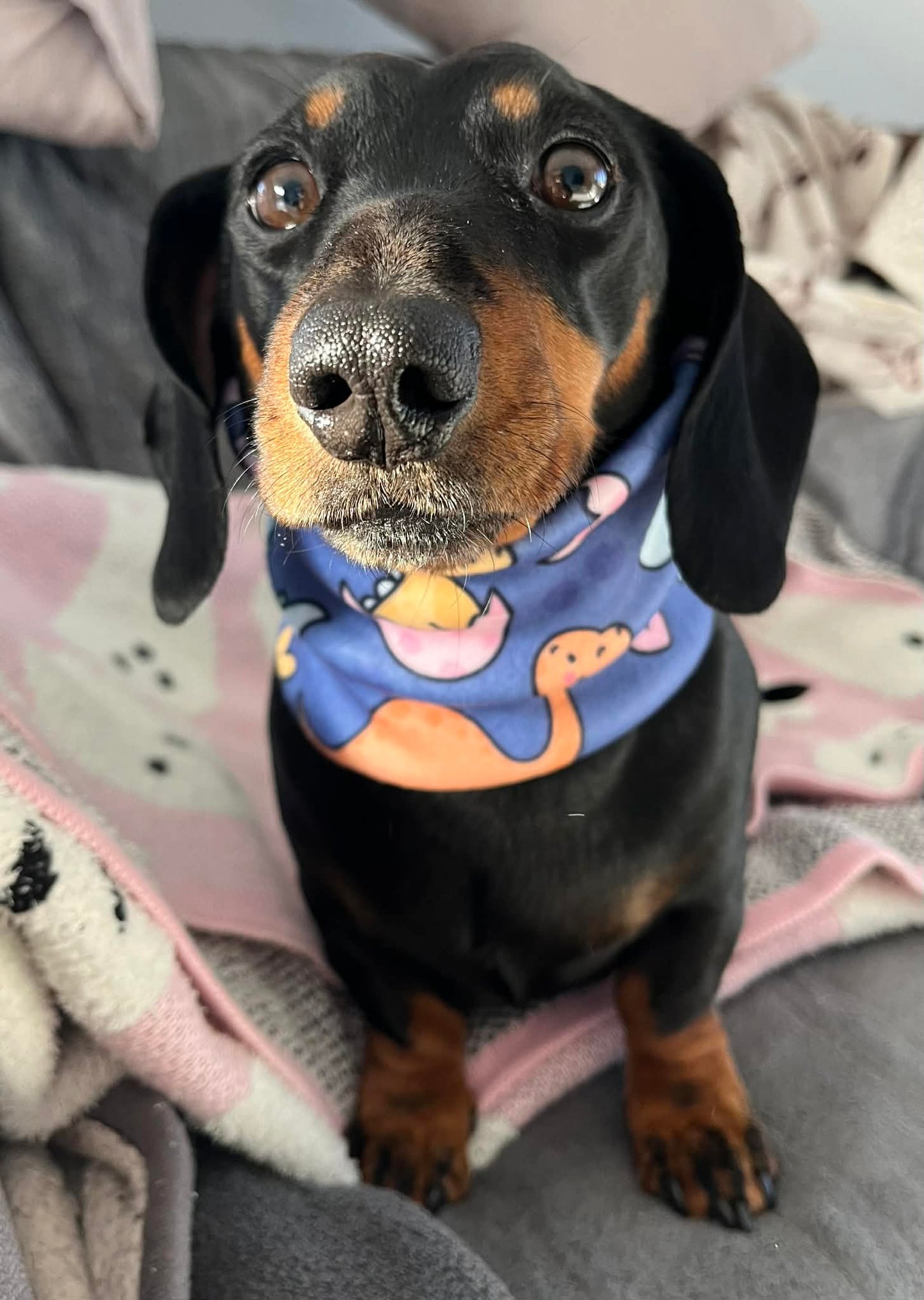 Dinoventures Dog Snood