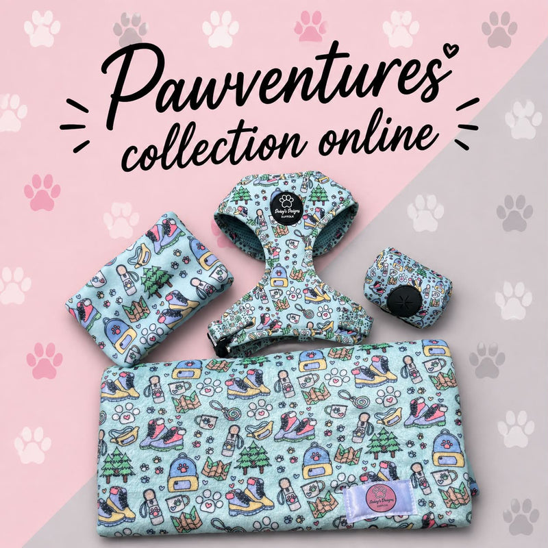 Pawventures Collection