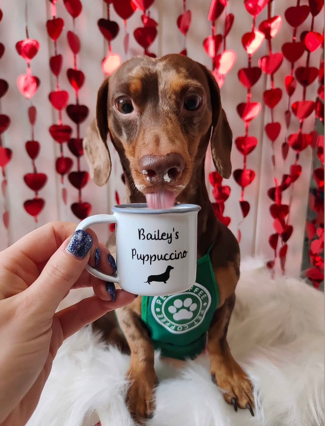 Puppuccino Cup