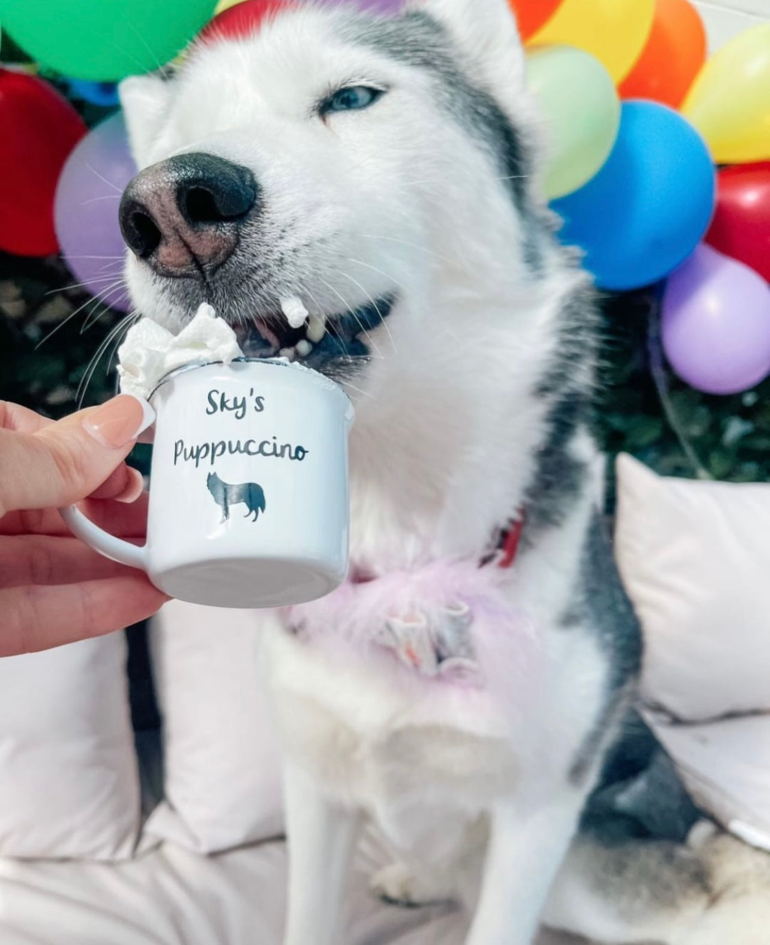 Puppuccino Cup