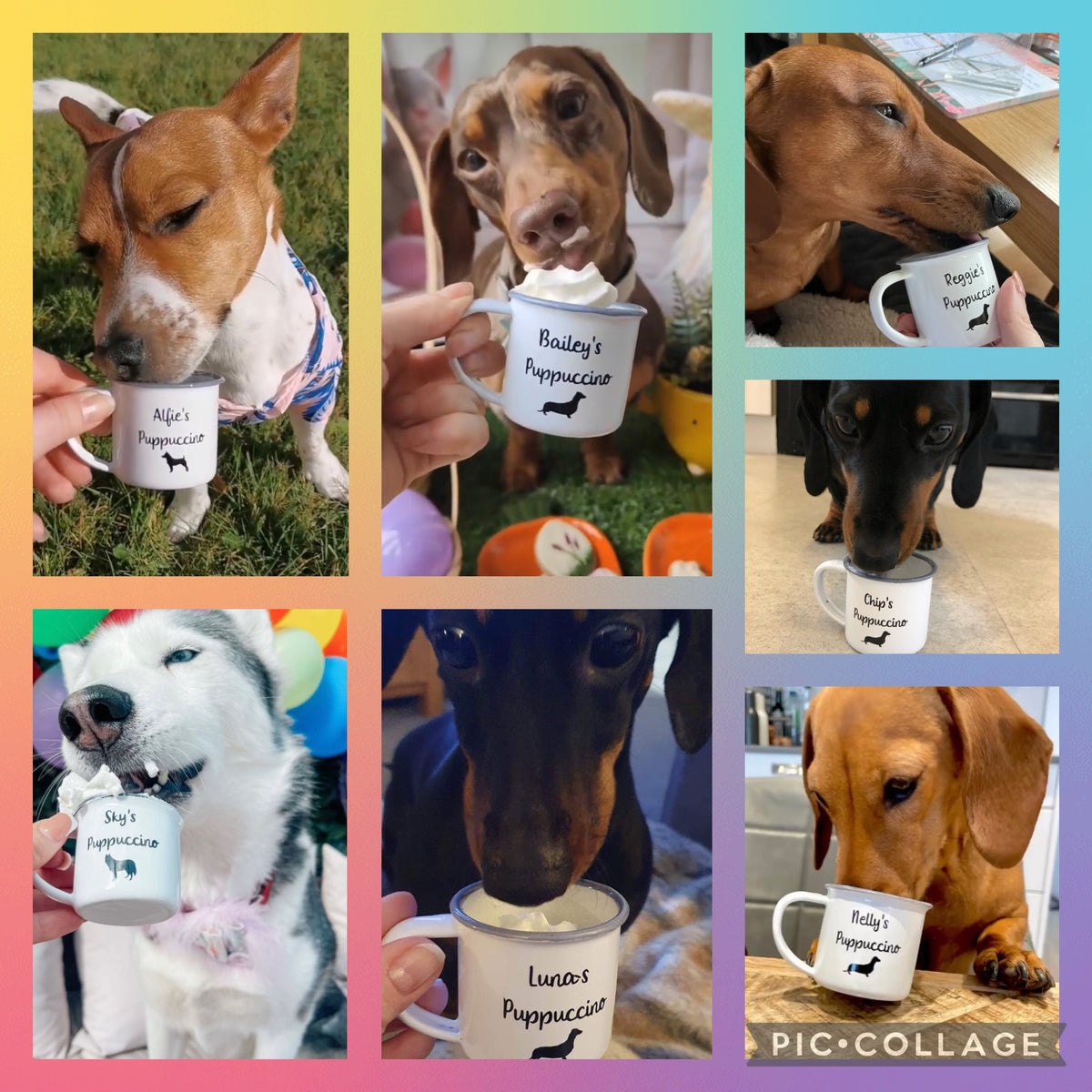 Puppuccino Cup