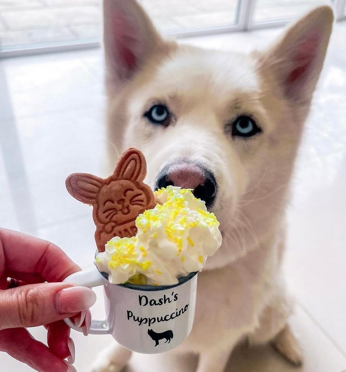 Puppuccino Cup