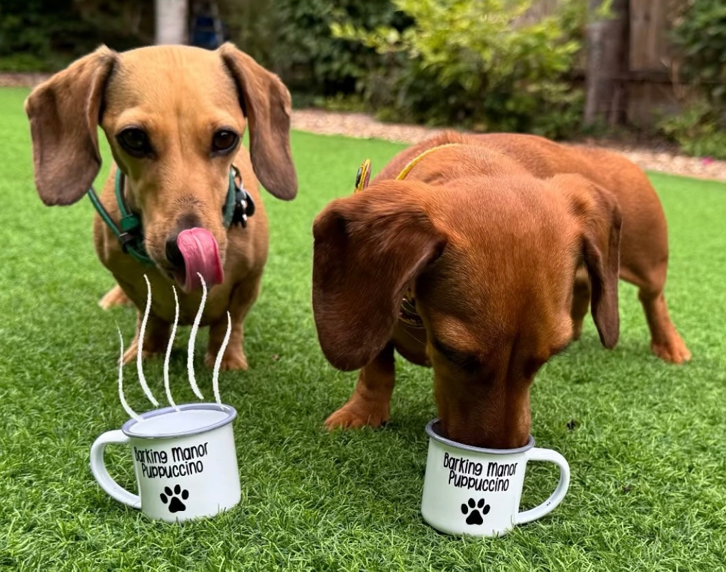 Puppuccino Cup