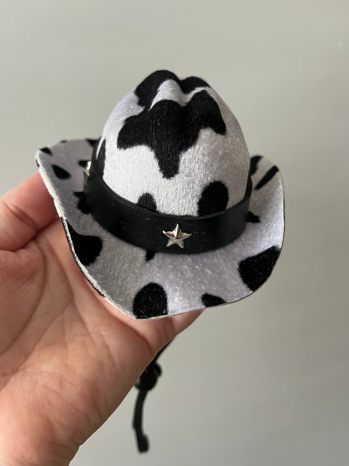 Dog Cowboy Hats