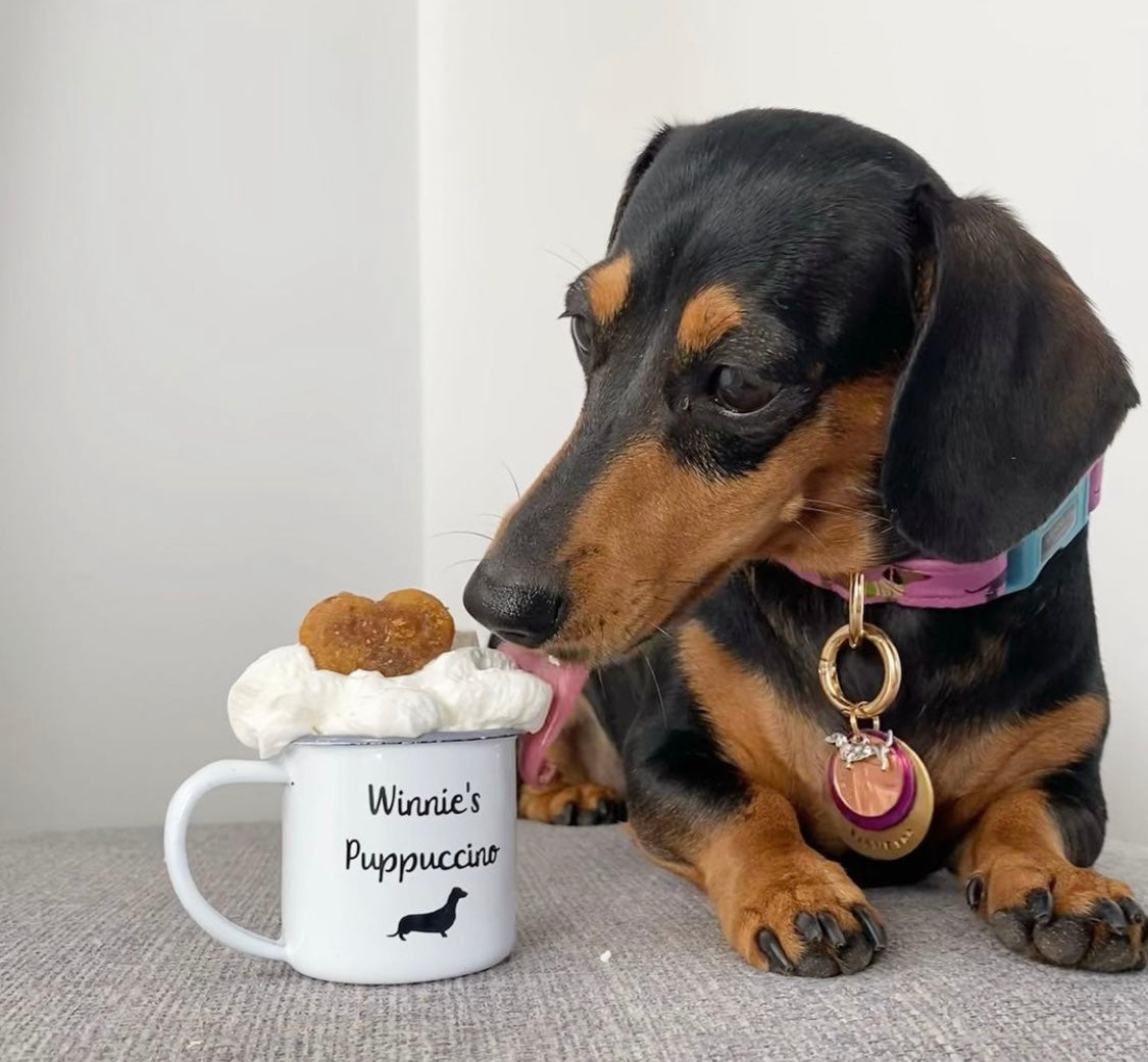 Puppuccino Cup