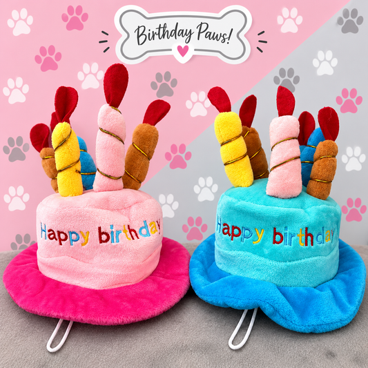 Birthday Hat