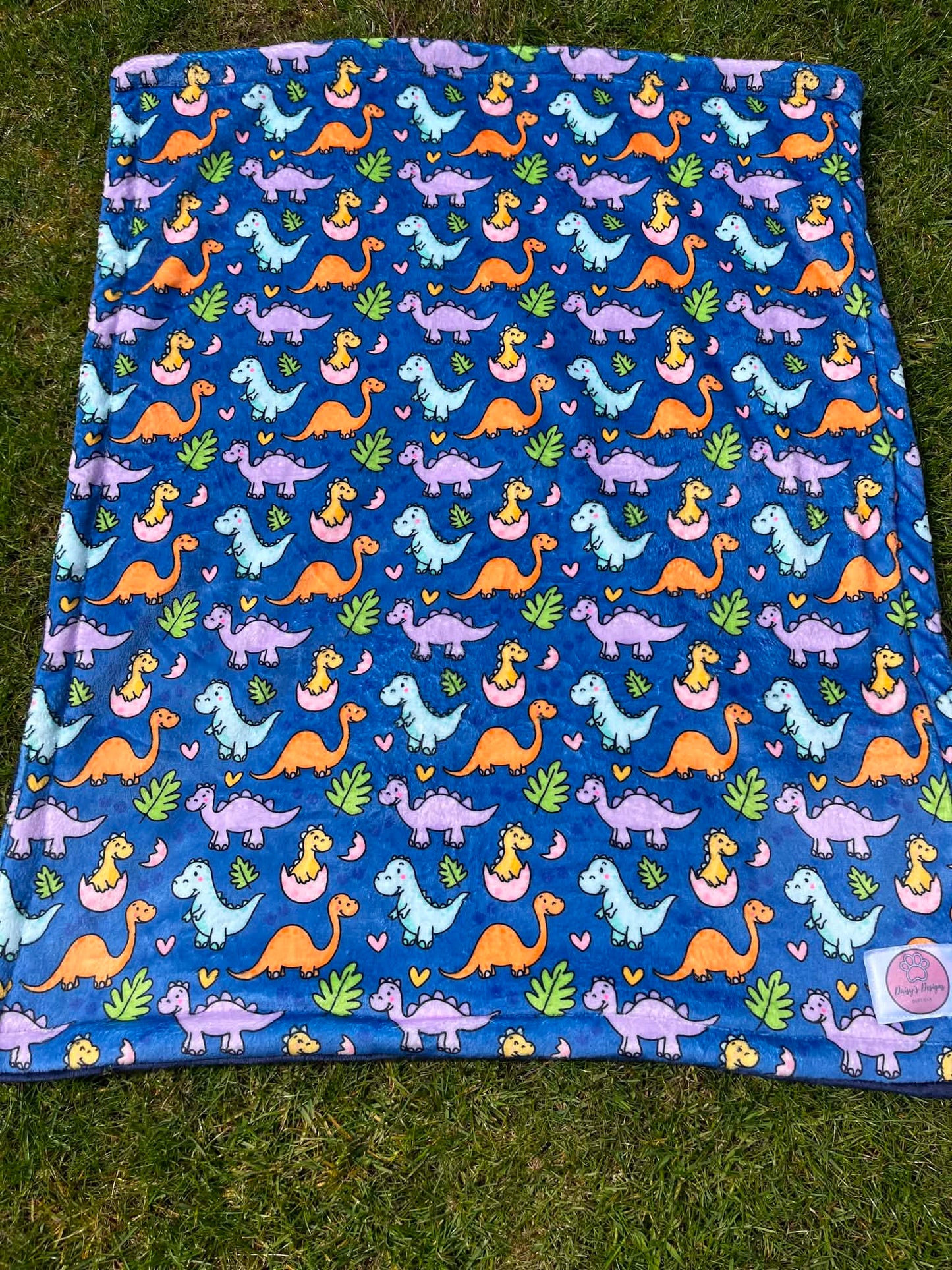 Dinoventures Blanket