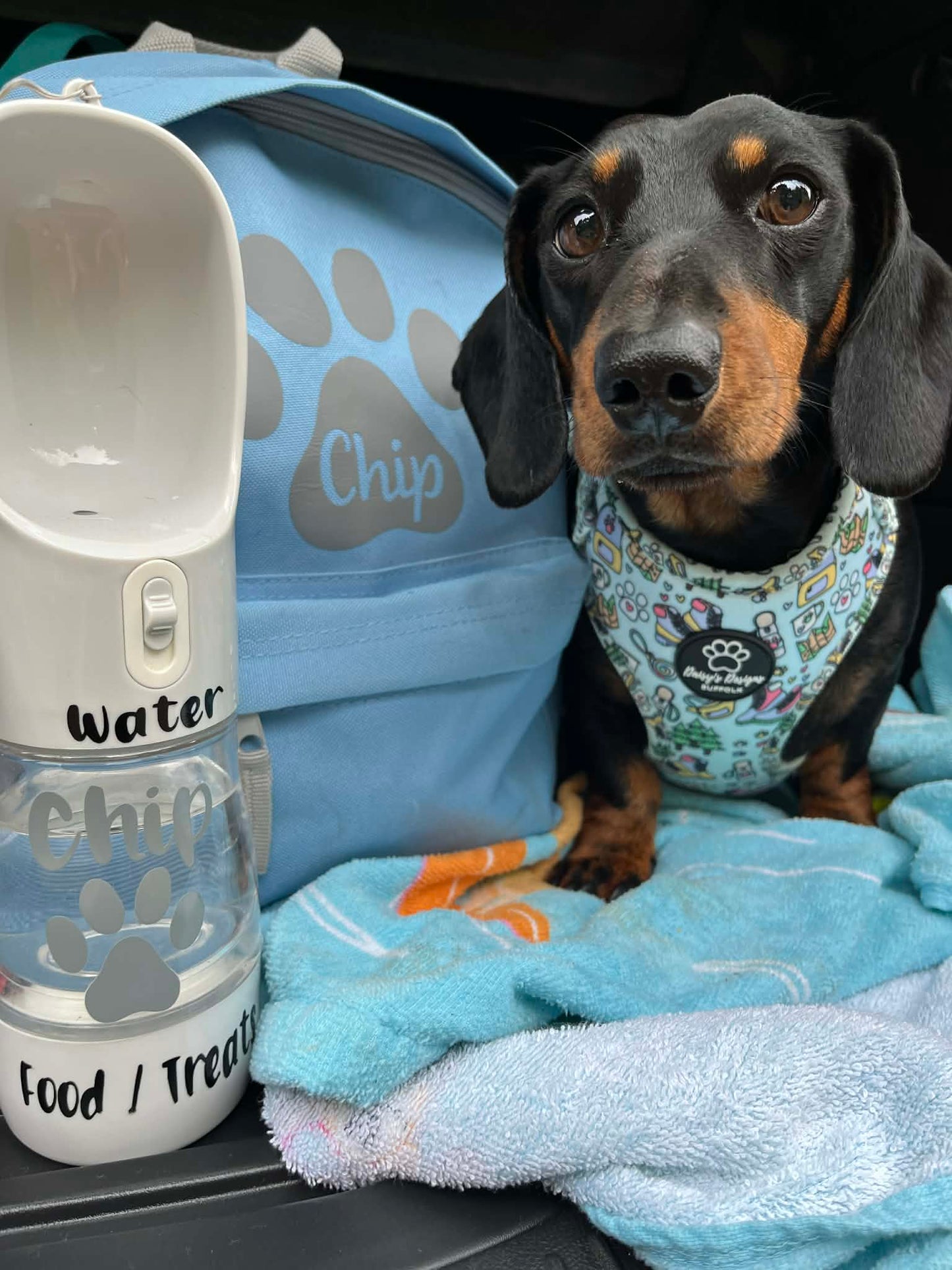 Dog Travel Bottle