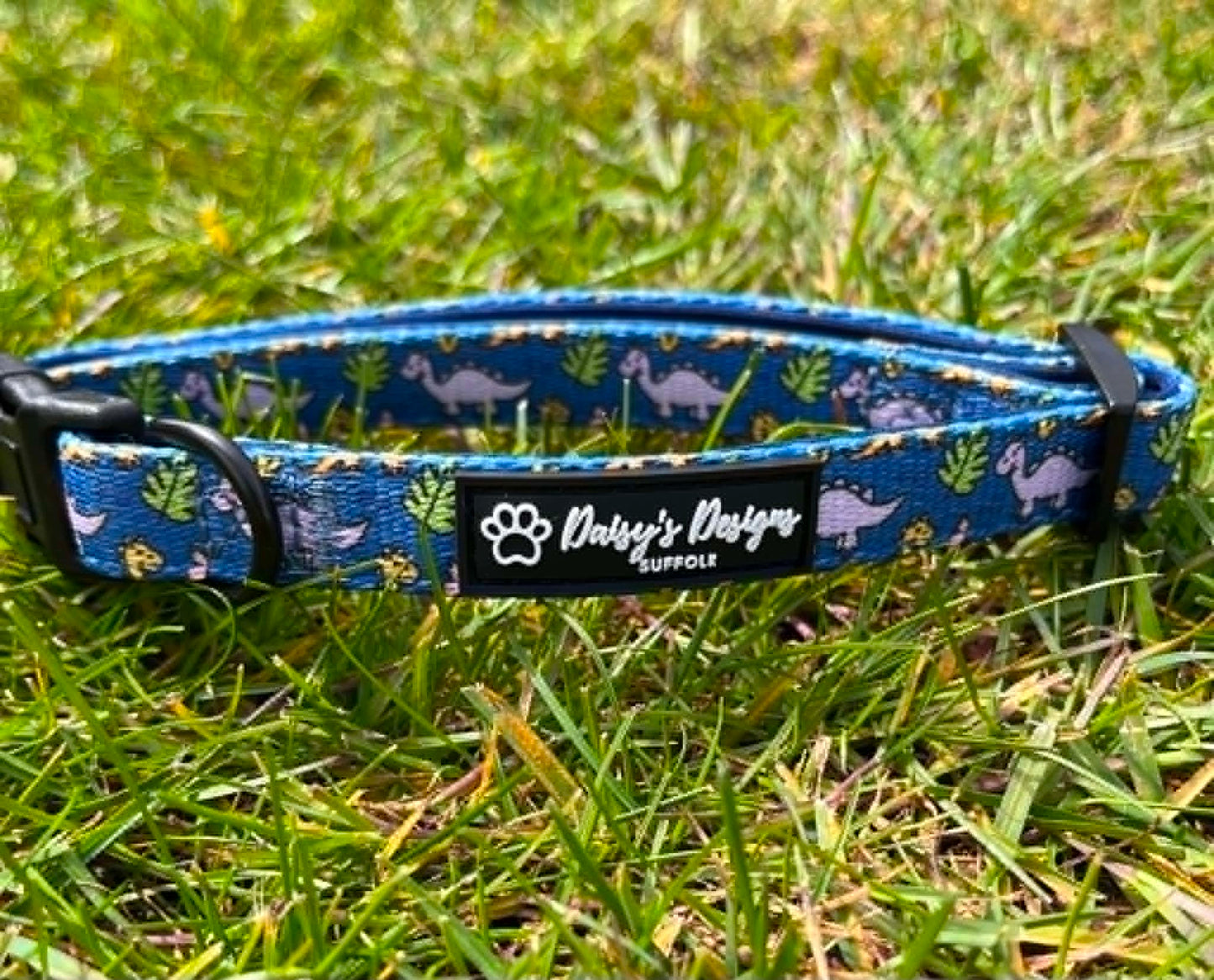Dinoventures Collar