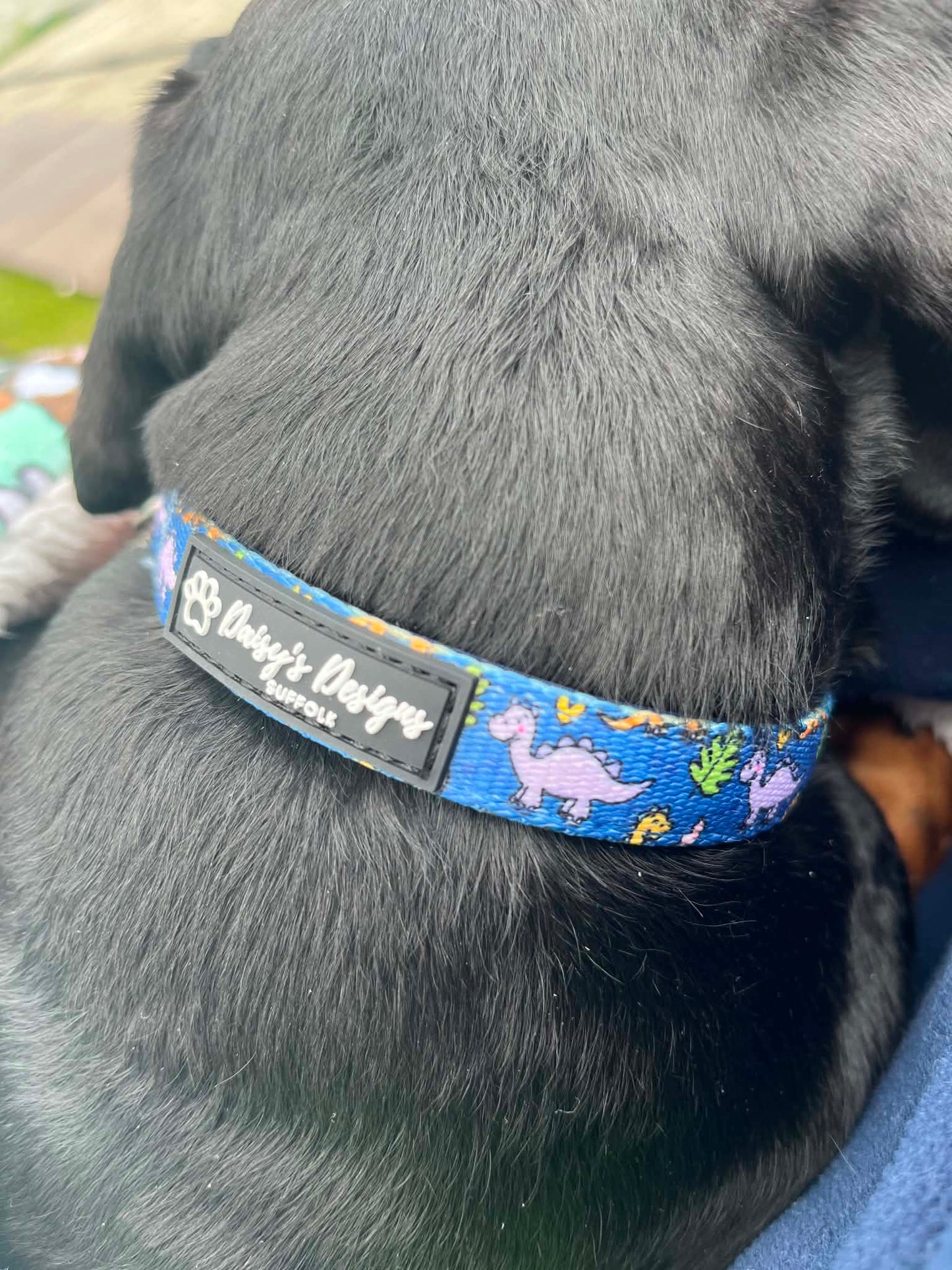 Dinoventures Collar