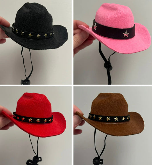 Dog Cowboy Hats