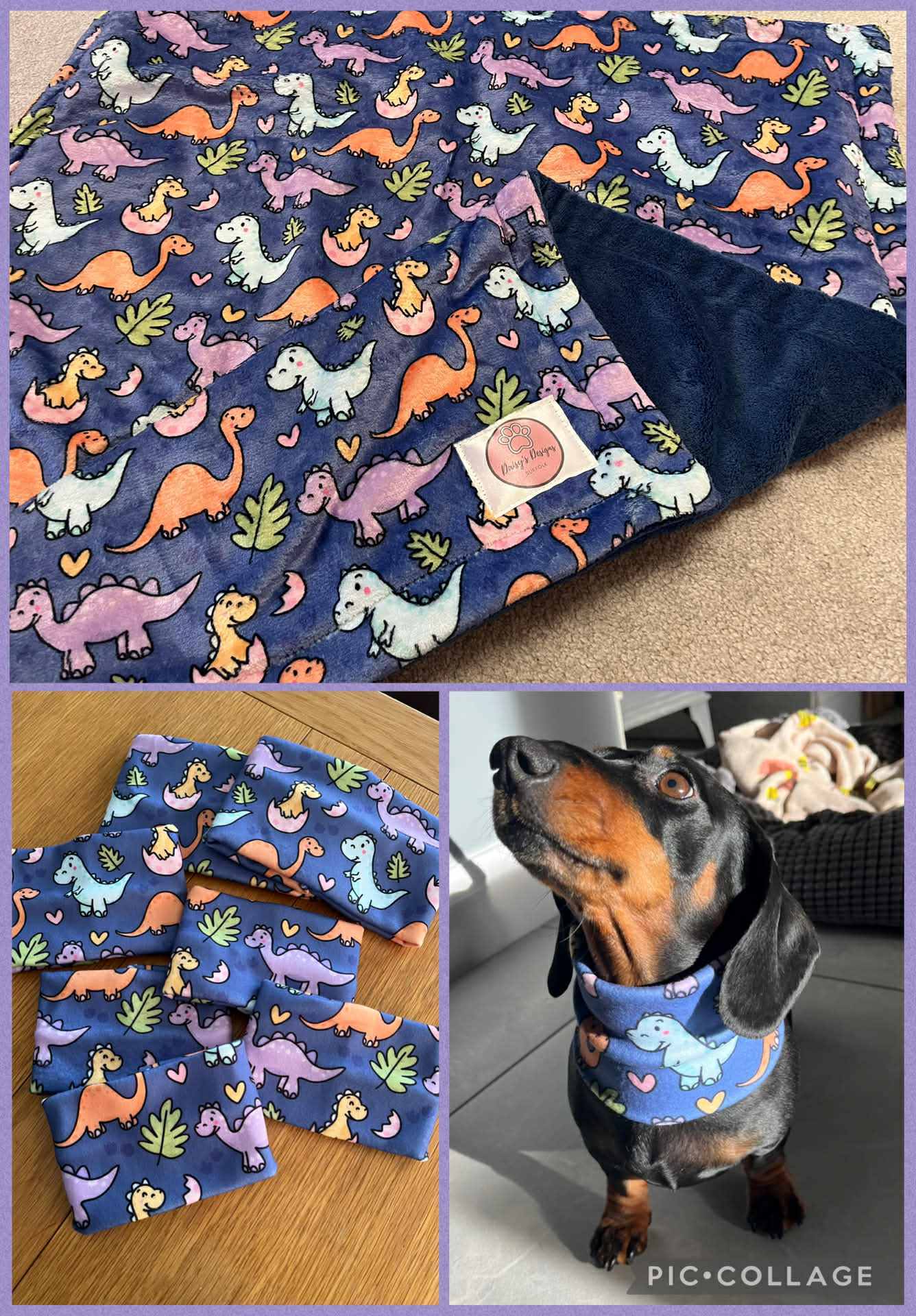 Dinoventure Blanket