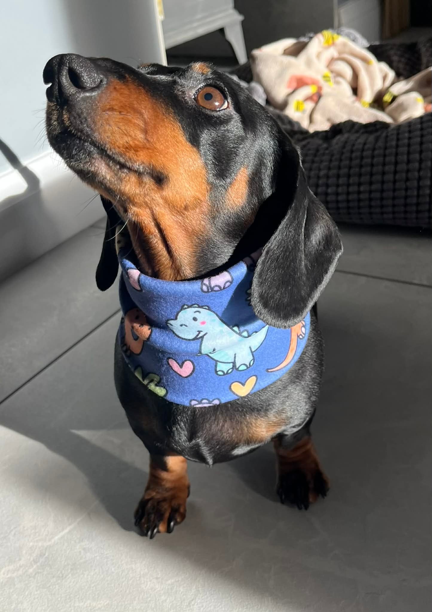 Dinoventures Dog Snood