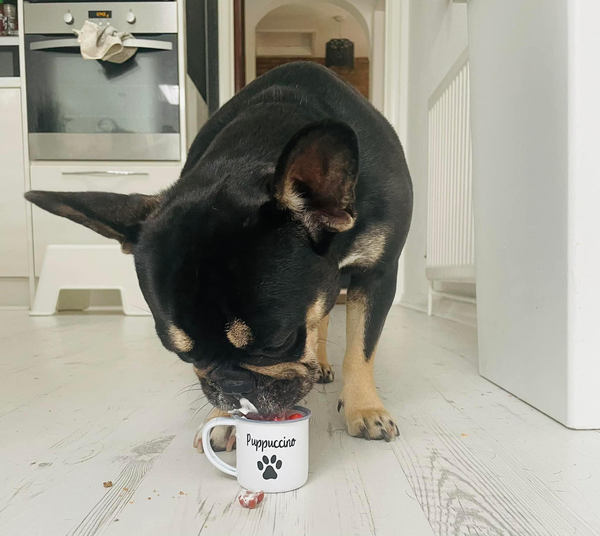 Puppuccino Cup
