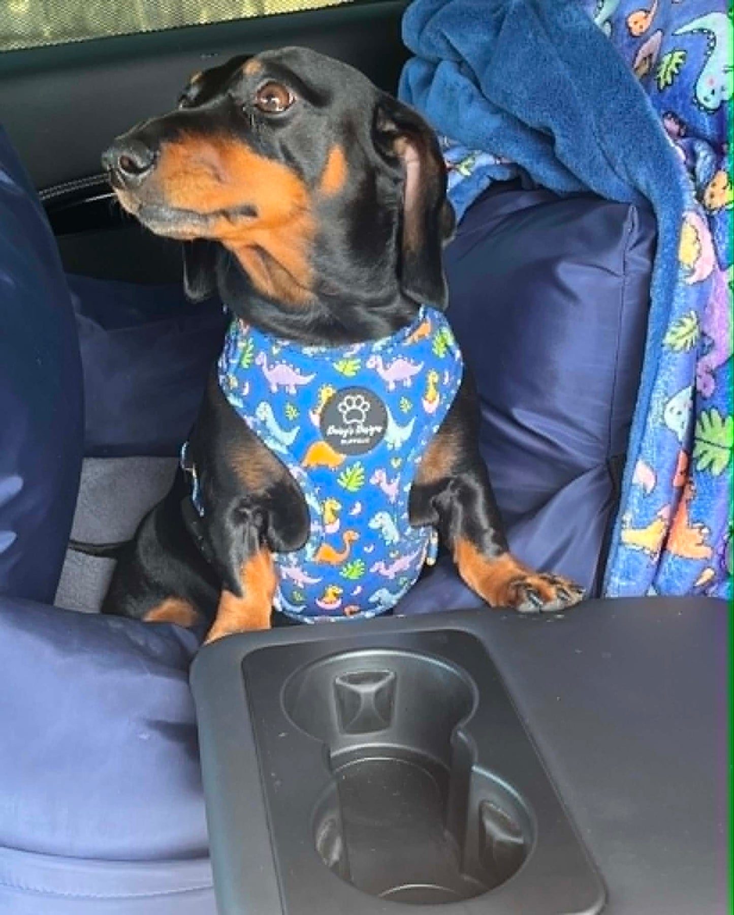 Dinoventures Harness