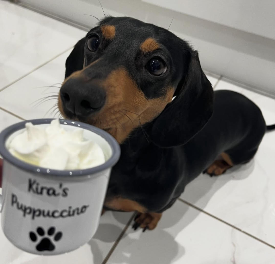 Personalised Puppuccino Cup