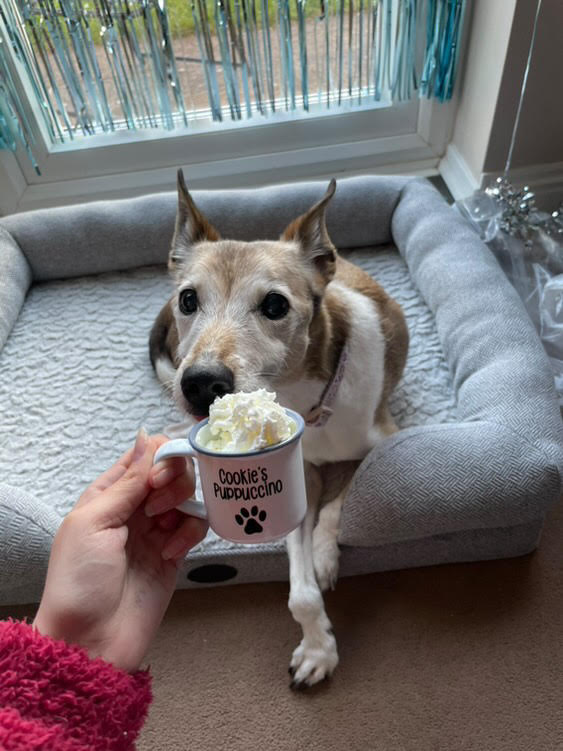 Personalised Puppuccino Cup