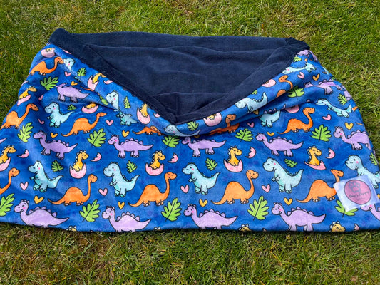 Dinoventures Snuggle Sack