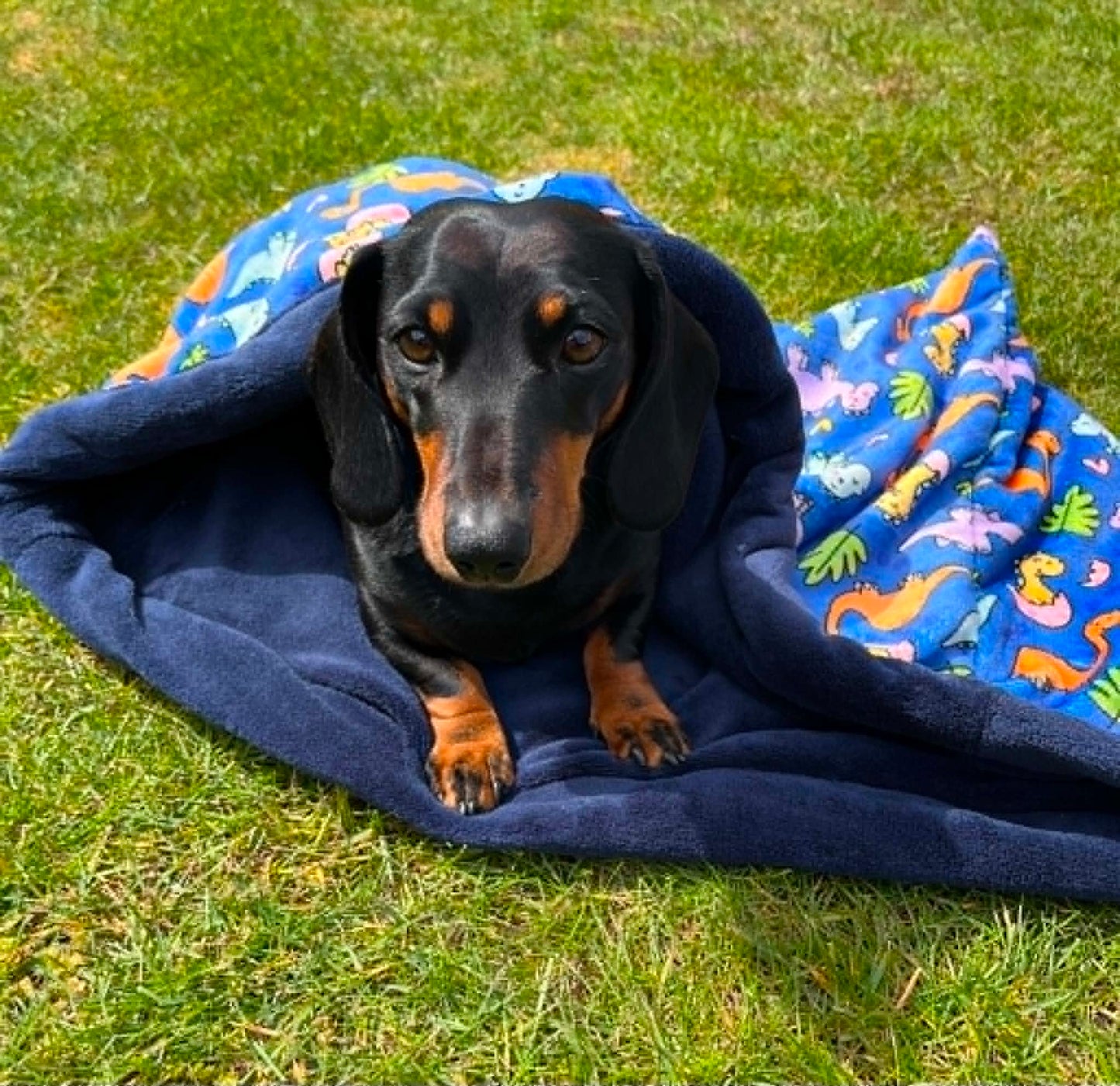 Dinoventures Snuggle Sack