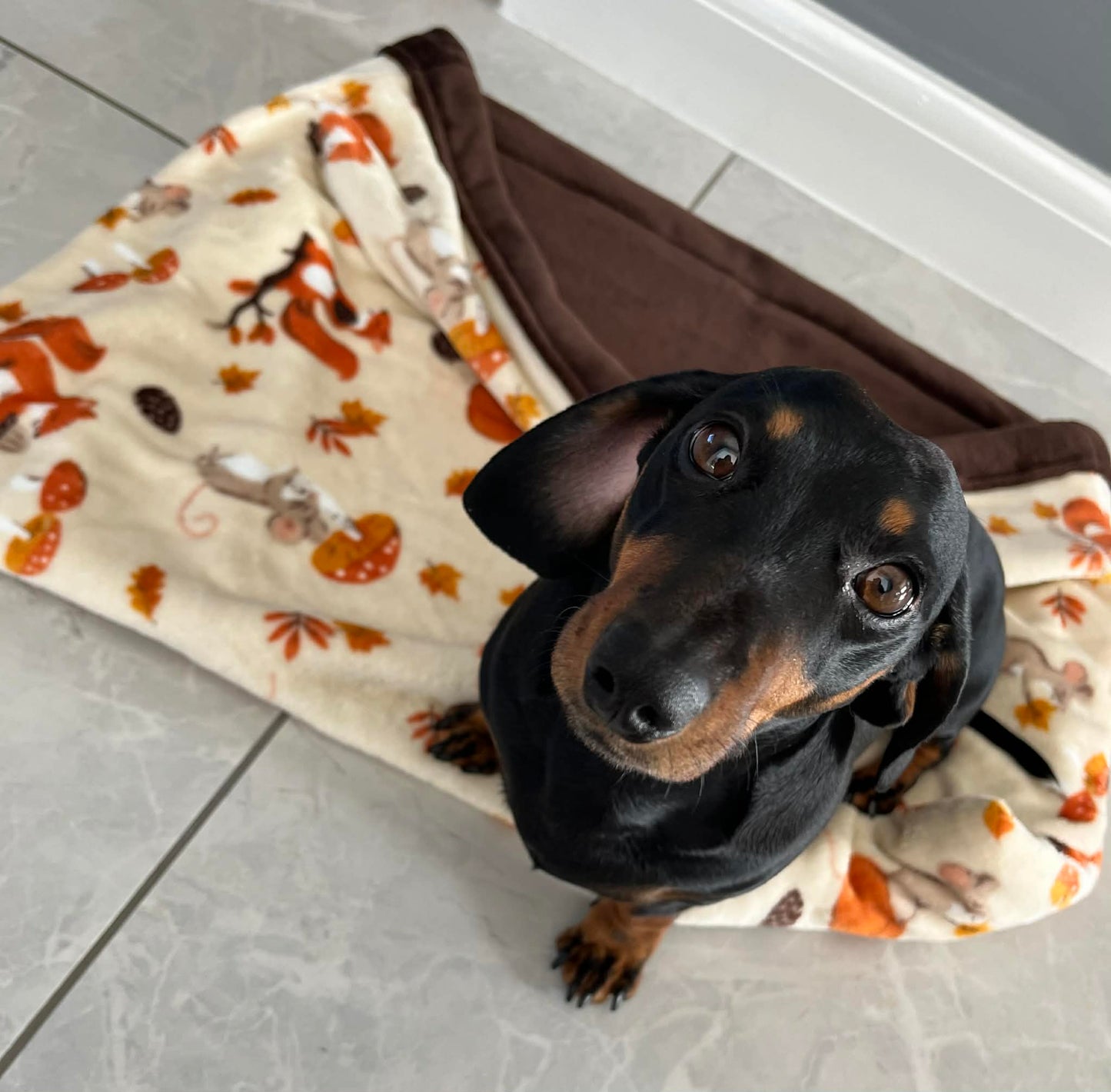 Snuggle Sacks