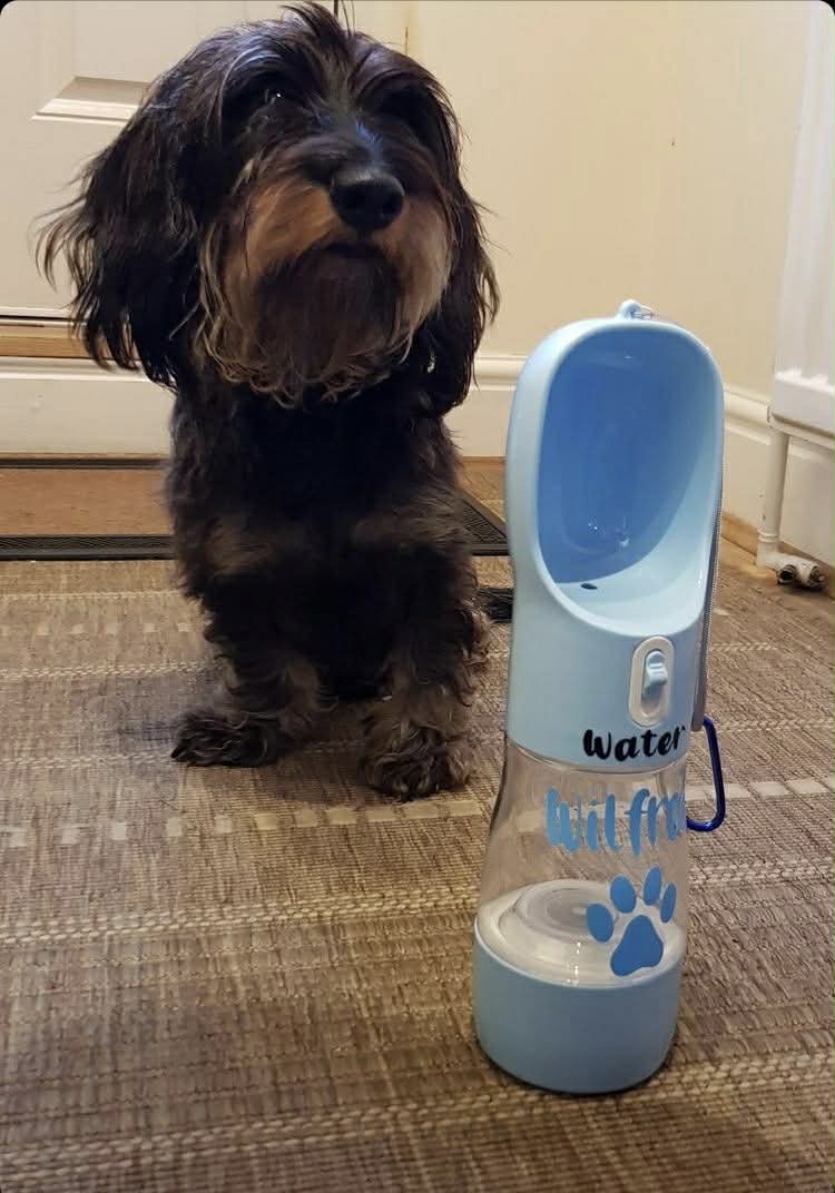 Dog Travel Bottle